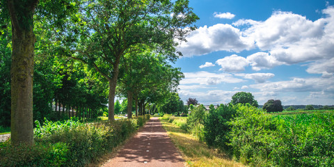 Bike path in Dutch Meadow