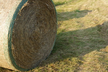 Heuballen nach der Mahd