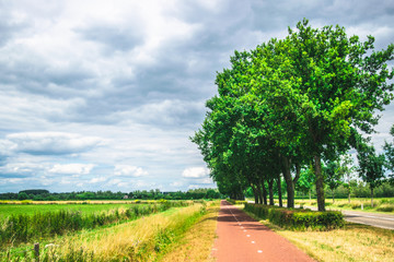 Fototapeta na wymiar Bike path in Dutch Meadow