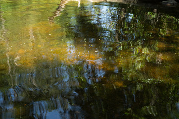 Water reflections