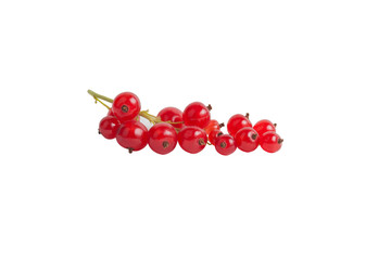 Bunch of ripe red currants on white isolated background