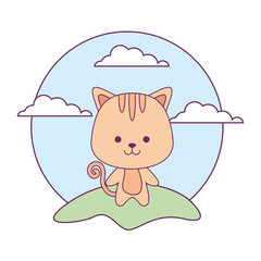 cute cat animal in landscape