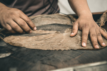 Closeup of hands making cigar from tobacco leaves. Traditional manufacture of cigars. Dominican Republic