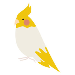 cute little bird adorable mascot