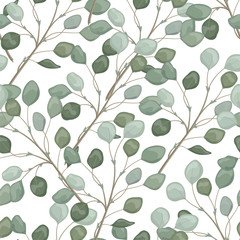 Seamless pattern with eucalyptus leaves. Vector Watercolour.
