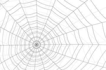 concentric white web on a white background