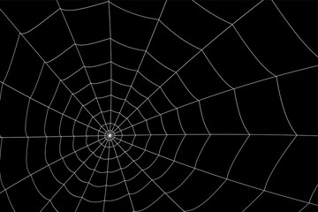 concentric white web on a gray background