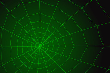 concentric white web on a gray background