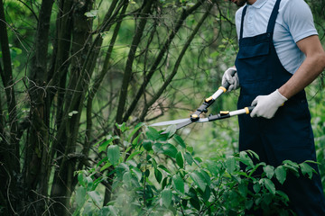 Obraz premium cropped view of gardener cutting bushes with trimmer in park