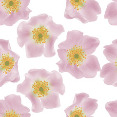 Beautiful seamless pattern with Rose. Vector illustration. 