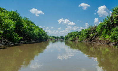 Fototapeta na wymiar river peru sky clouds jungle amazon 