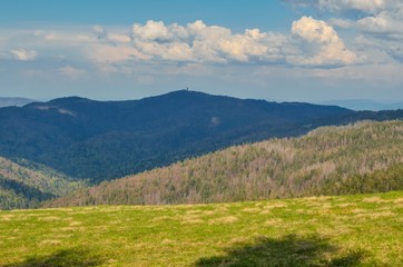 Fototapeta na wymiar Beautiful spring mountain landscape. Green clearing on a mountain trail.
