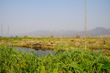 Canals intersect the floating vegetable gardens