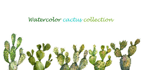 Watercolor cactus collection on white background, watercolor illustrator hand drawn
