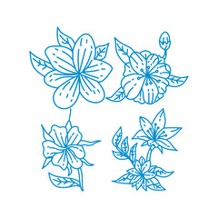 Fototapeta na wymiar Flower Leaf Illustration Design Template Vector Linear