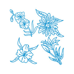 Flower Leaf Illustration Design Template Vector Linear