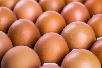 Chicken Egg.Close-up view of raw chicken eggs in egg box,eggs isolated on white background