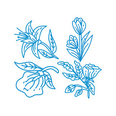 Flower Leaf Illustration Design Template Vector Linear