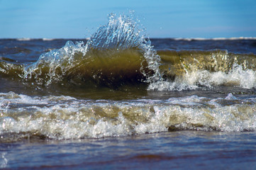 big sea wave close up on a sunny summer day