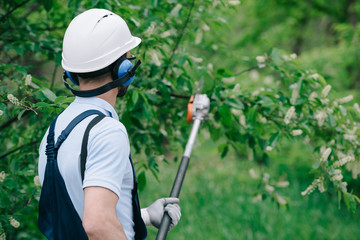 back view of gardener in helmet and earmuffs trimming trees with telescopic pole saw in park