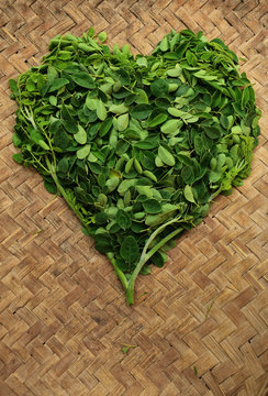 Moringo Tree Leaves.