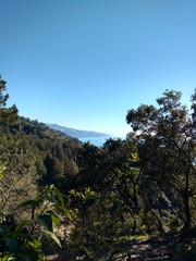 Obraz premium view from the top of mountain