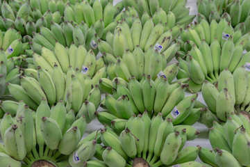 Green Raw Banana with price tag Thai Bath arranged display in Maker Fresh Food Concept