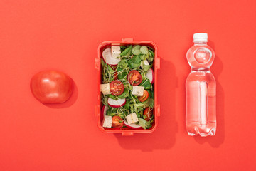 top view of apple, bottle with water and lunch box on red background