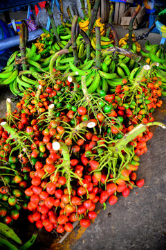 Fruta de chonta duro 