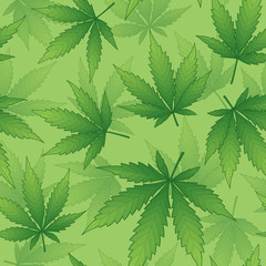 Vector seamless pattern, realistic cannabis leaves