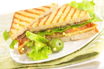Fresh tasty sandwiches on white plate