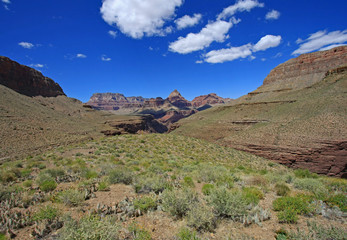 View of the Grand Canyon from the Grandview Trail in Grand Canyon National Park, Arizona.