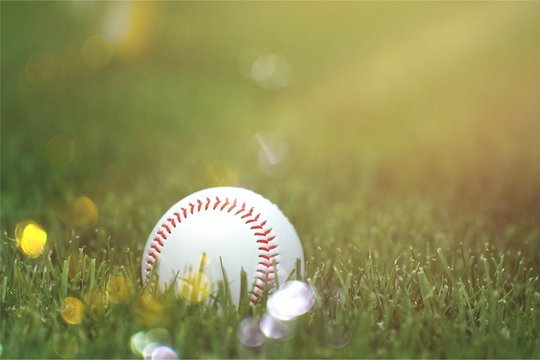 A white used baseball on the fresh green grass with copy space