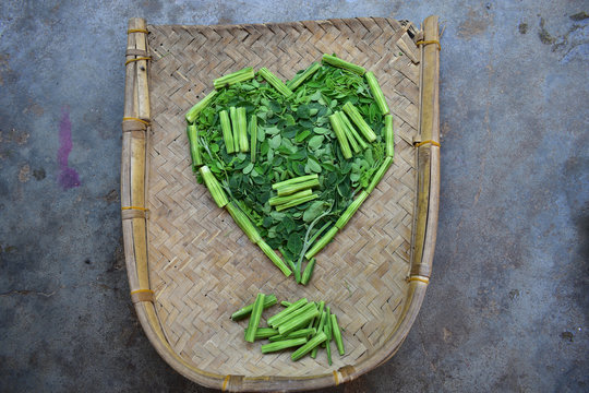 Moringo Tree Leaves and drumsticks fruits of this plants