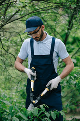 Obraz premium handsome gardener in overalls and cap cutting bushes with trimmer in park