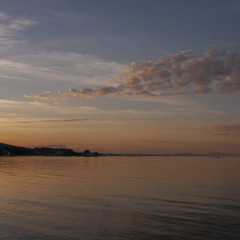 Sub tropical sunrise