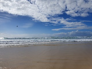 beach and sea