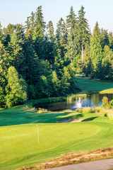 Golf course with gorgeous green and fantastic forest view.