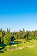 Fototapeta premium Golf course with gorgeous green and fantastic forest view.