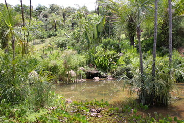 Obraz premium Strumień