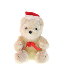 Teddy bear isolated on white background.