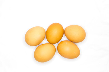 Brown Egg Isolated on White Background 