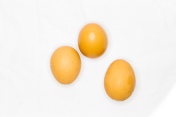 Brown Egg Isolated on White Background 