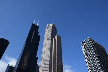 Fototapeta na wymiar Sears tower in Chicago 