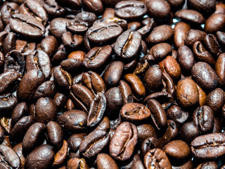 coffee seed isolated on white background