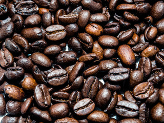 coffee seed isolated on white background