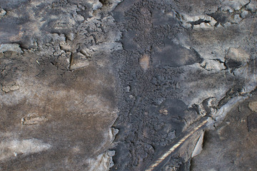 Black burned texture background