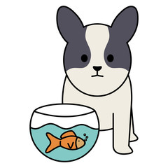 little dog adorable with fish in aquarium