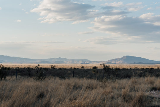 Marfa Countryside