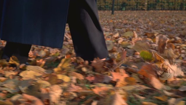 A man walks on fallen leaves in the autumn.